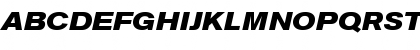 Berthold Akzidenz Grotesk Bold Extended Italic Font