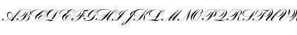 Bank Script Joining D Regular Font