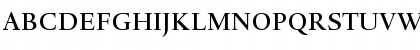 DTLHaarlemmerD Medium Font