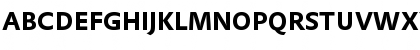 DTLProkyonST Bold Font