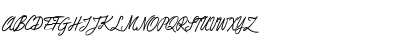 DuTurner Regular Font