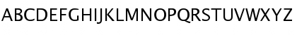 LucidaSans Regular Font LucidaSans Regular Font