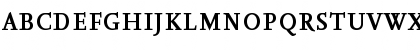 NexusSerifTF-Bold Regular Font NexusSerifTF-Bold Regular Font