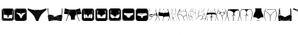 Female Underwear Regular Font