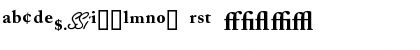 CaslonProBlackSSK Regular Font