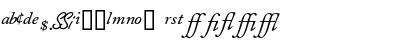 CaslonProSSK Italic Font