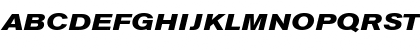 URWAccidaliaTExt Bold Italic Font