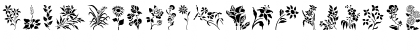 HFF Floral Stencil Regular Font HFF Floral Stencil Regular Font