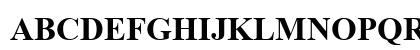 Times New Roman Bold