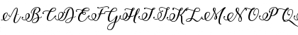 Winter Calligraphy Regular Font