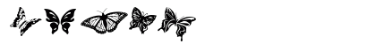 Butterflies Regular