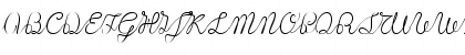 Lace Regular Font Lace Regular Font