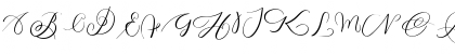 MONOGRAM Z Regular Font MONOGRAM Z Regular Font