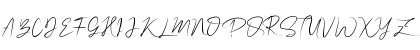 NalikaSignature Regular Font NalikaSignature Regular Font