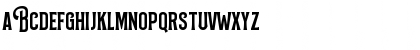 Bilcase Demo Demo Font