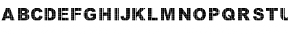 Vinyl Tile - DGL Regular Font