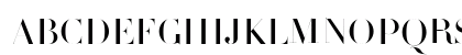 Didot Medium