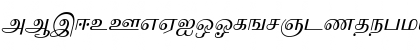 IdsTamil_TG_2_ Italic Font