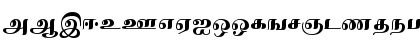 IdsTamil_TG_4_ Bold Font