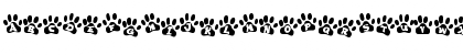 Tiger Trails Regular Font Tiger Trails Regular Font