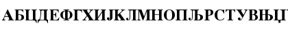 Times Cirilica Bold Font Times Cirilica Bold Font