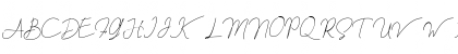 berlinsignature Regular Font