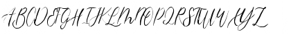 magdalena script Regular Font magdalena script Regular Font