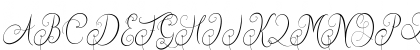 Quirtty FREE Regular Font Quirtty FREE Regular Font