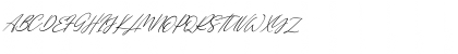 Single Signature Thin Tilted Regular Font