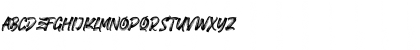 FIGHTER BRUSH Regular Font FIGHTER BRUSH Regular Font