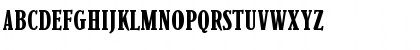 Parkinson Bold Font