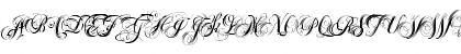 XyloScript Regular Font XyloScript Regular Font