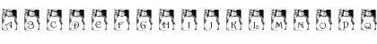 pf_snowman1 Regular Font pf_snowman1 Regular Font