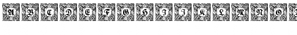 Schmuck-Initialen 3 Regular Font Schmuck-Initialen 3 Regular Font