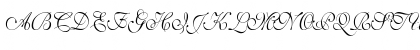 Shelley-VolanteScript Th Regular Font