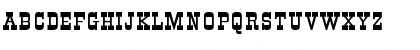 AppleyardBold Roman
