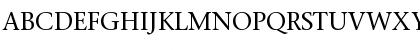 Stone Serif OS ITC TT Medium Font