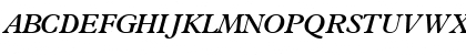 TerminusSSK Bold Italic Font