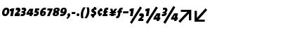 TheSanExtBolExpIta Regular Font