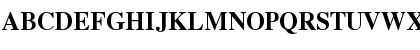 Times LT Bold Font