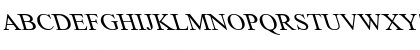 Times New Roman Backslanted Regular Font