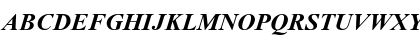 Times New Roman CE Bold Italic Font