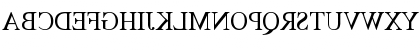 TimesMirror Regular Font