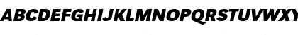 TomBecker Bold Italic Font