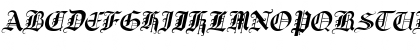CrusaderGothic Italic Font