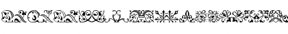 Baroque Ornaments Regular Font