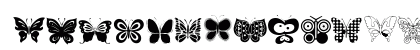 Butterflies Regular