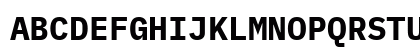 IBM Plex Mono Bold IBM Plex Mono Bold