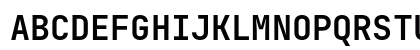 JetBrains Mono Bold JetBrains Mono Bold