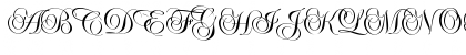 Edwardian Script "more vertical" Regular Font